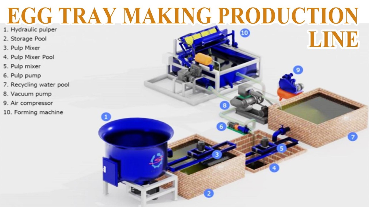 Egg Tray Making Production Line | Fully Automatic Paper Egg Tray Machine #eggtray #egg #paper