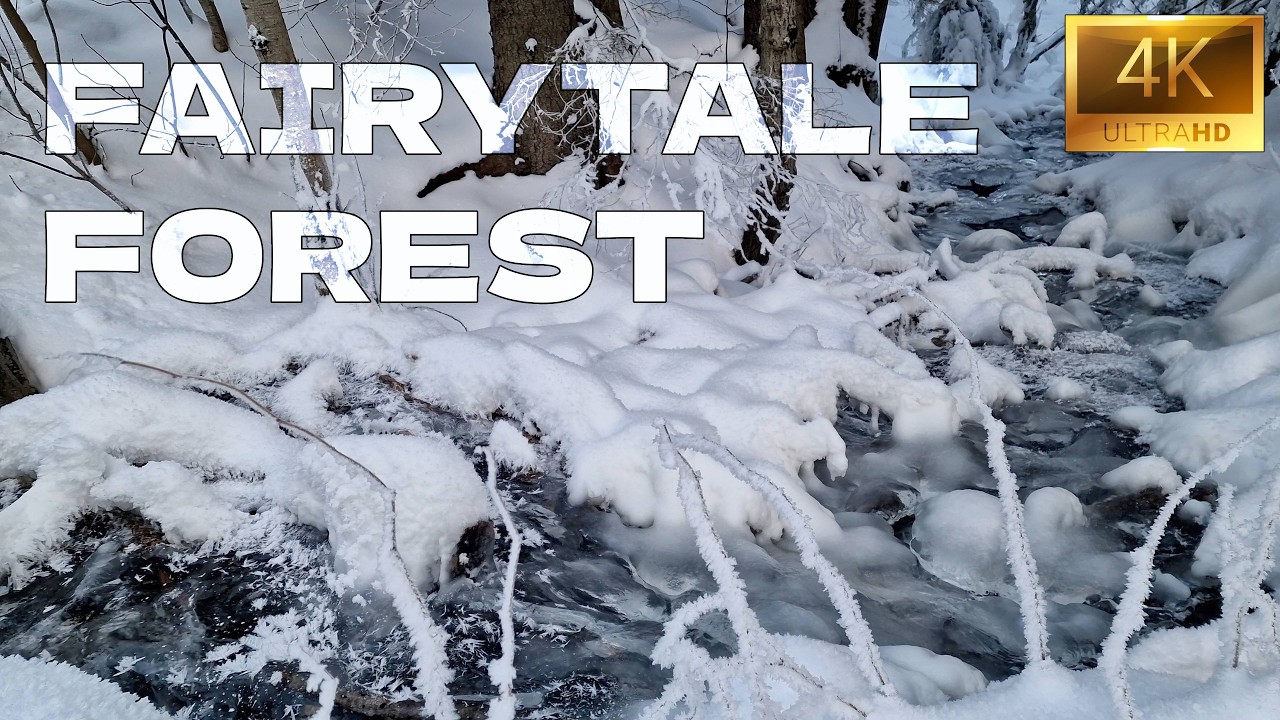 Frozen Fairytale Forest – Natural Water Sounds
