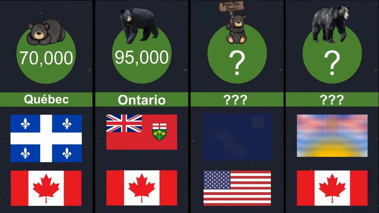 North American Black Bear Population By State and Province (2024)