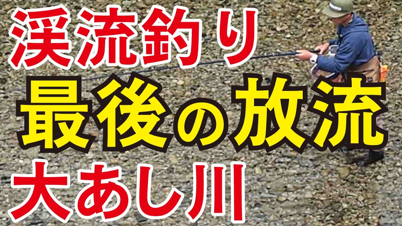 【渓流釣り　大あし川】今年最後。500㎏放流　常連釣り客勢揃い　River Healing Channel