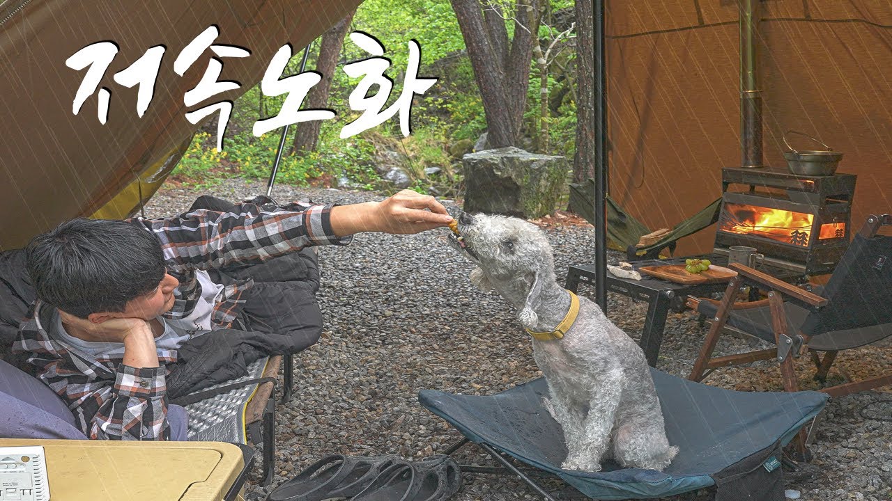 계곡 소리, 비 오는 숲, 화목난로… 삼겹살로 완성하는 저속노화 캠핑
