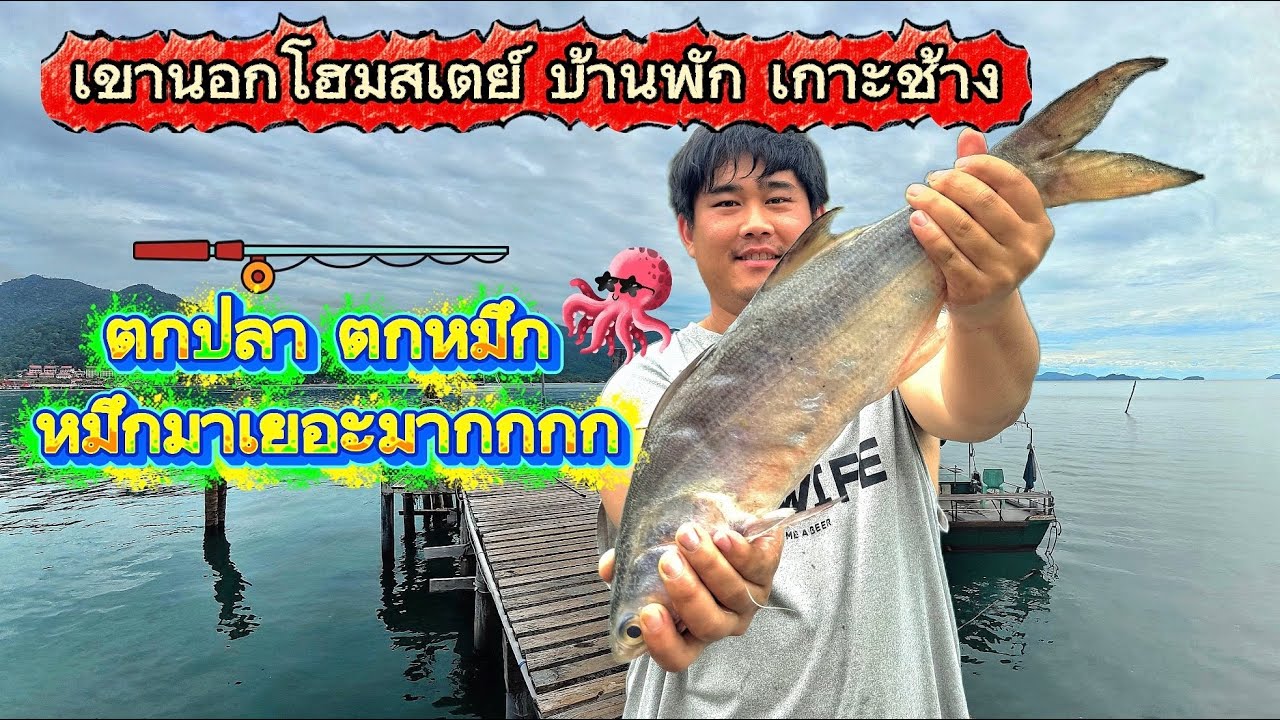 ตกปลาเขานอกโฮมสเตย์ บ้านพัก เกาะช้าง (ปลาใหญ่ หมึกฝูงนับร้อยตัวตกโตรตสนุก)