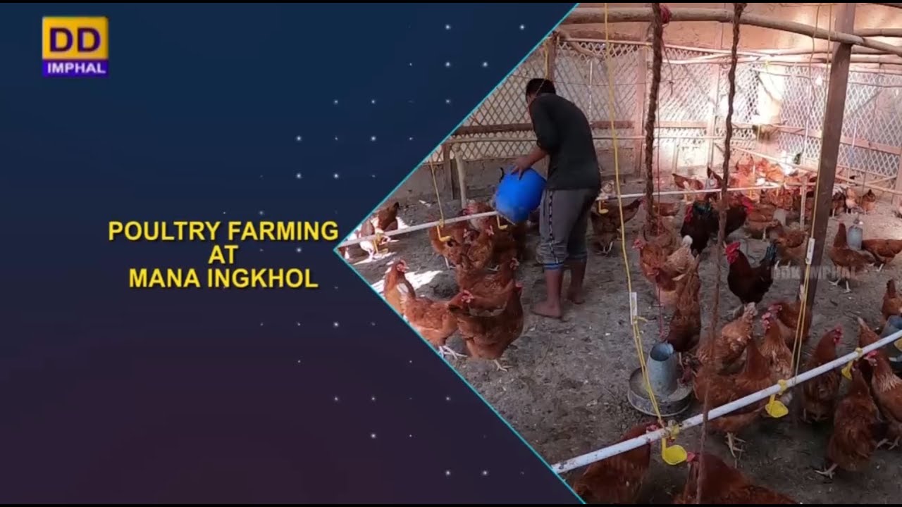 Agriculture Programme | Poultry Farming at Mana Ingkhol