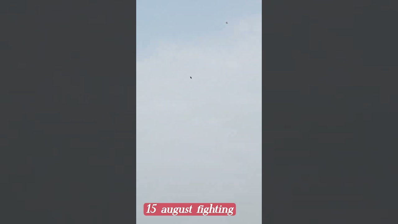 15 August fighting kite lovers &hearts;️&hearts;️#shortvideo #shorts #shortviral #youtubeshorts