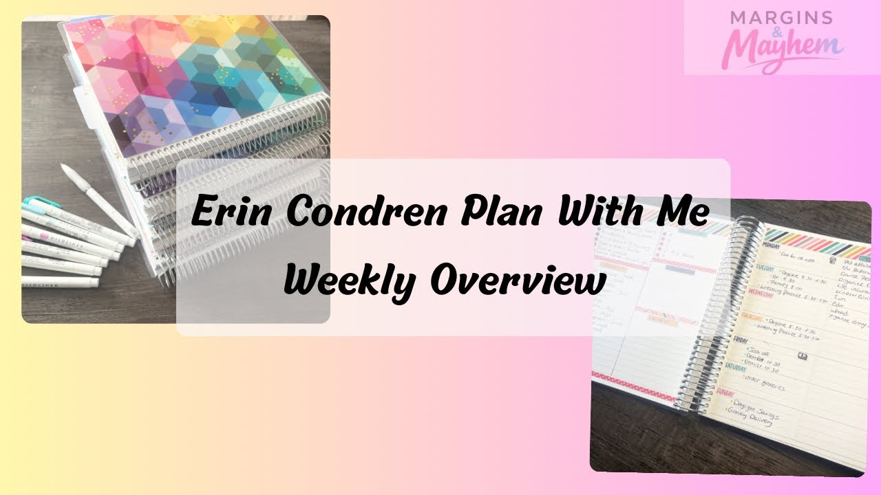 Plan With Me | Erin Condren | Daily Duo | Weekly Overview 
