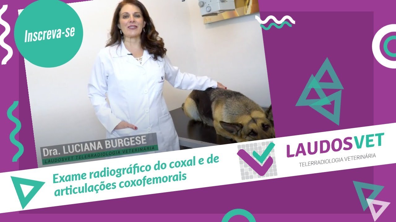 Exame radiográfico do coxal e de articulações coxofemorais
