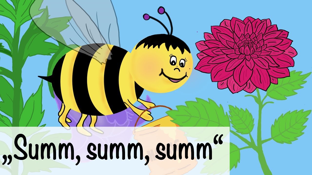 Summ summ summ ein Kinderlied mit Text zum Mitsingen von muenchenmedia