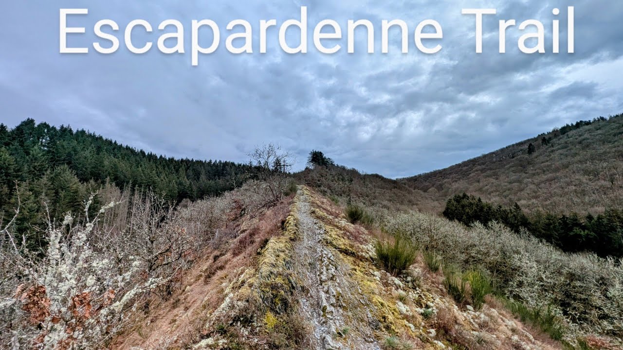Escapardenne Trail (62km sur le Lee et l'Eislek trail)