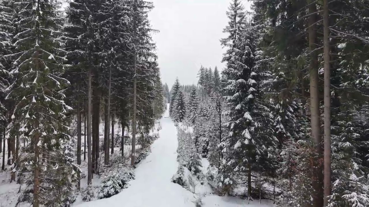 Winterlandschaft