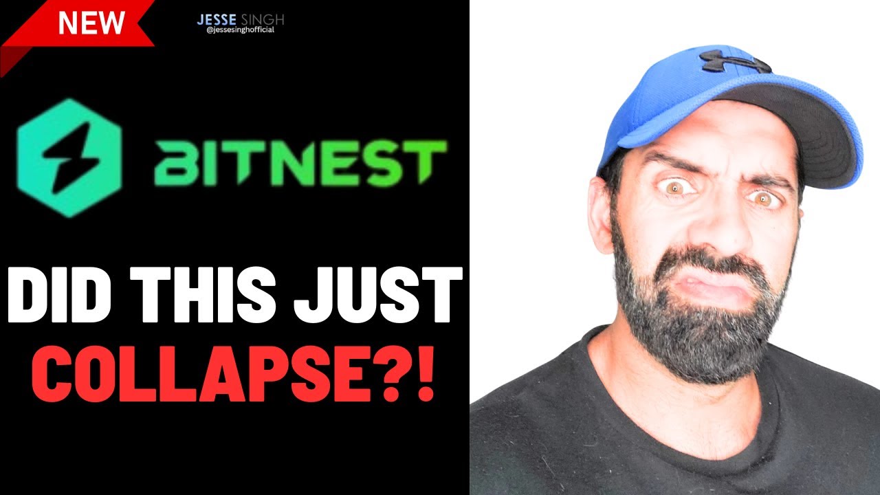 BitNest Collapses | Desperate node Ponzi reboots | According To BehindMLM