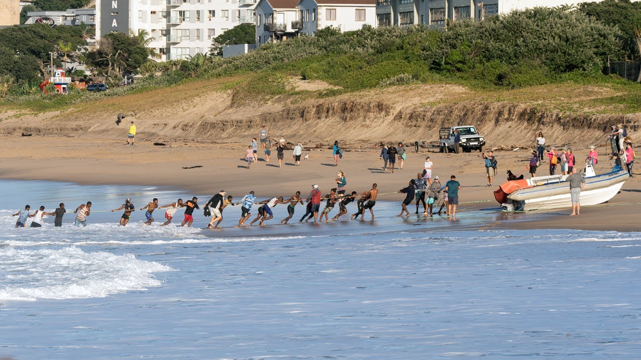Sardine Run - Manaba/Lucien Beach - 9 June 2024