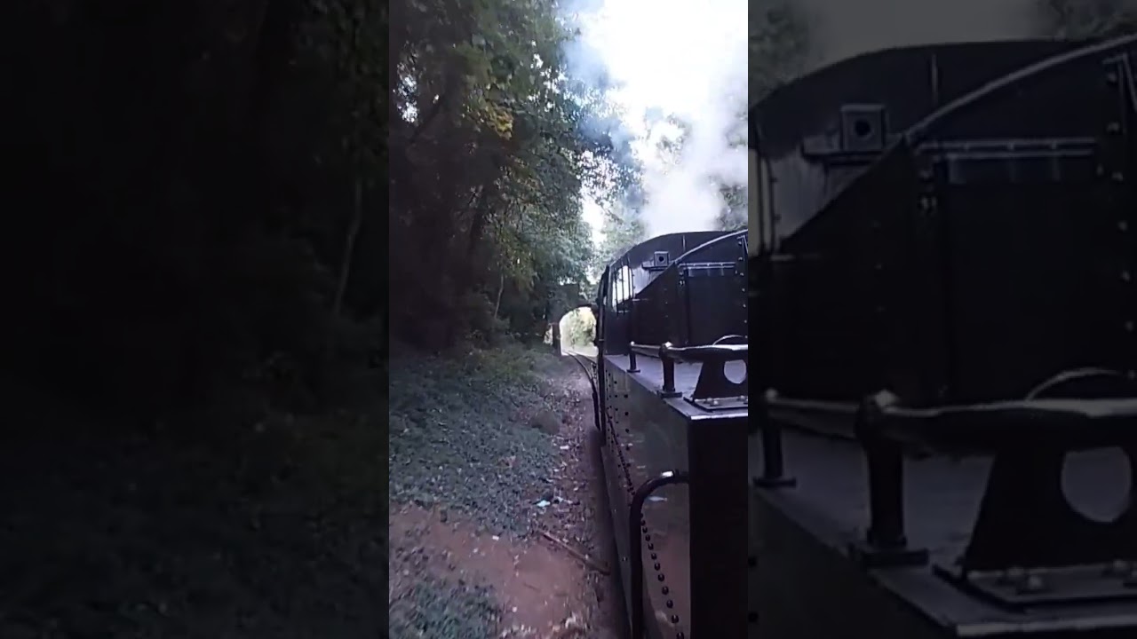 78018 Steam Whistle makes me happy