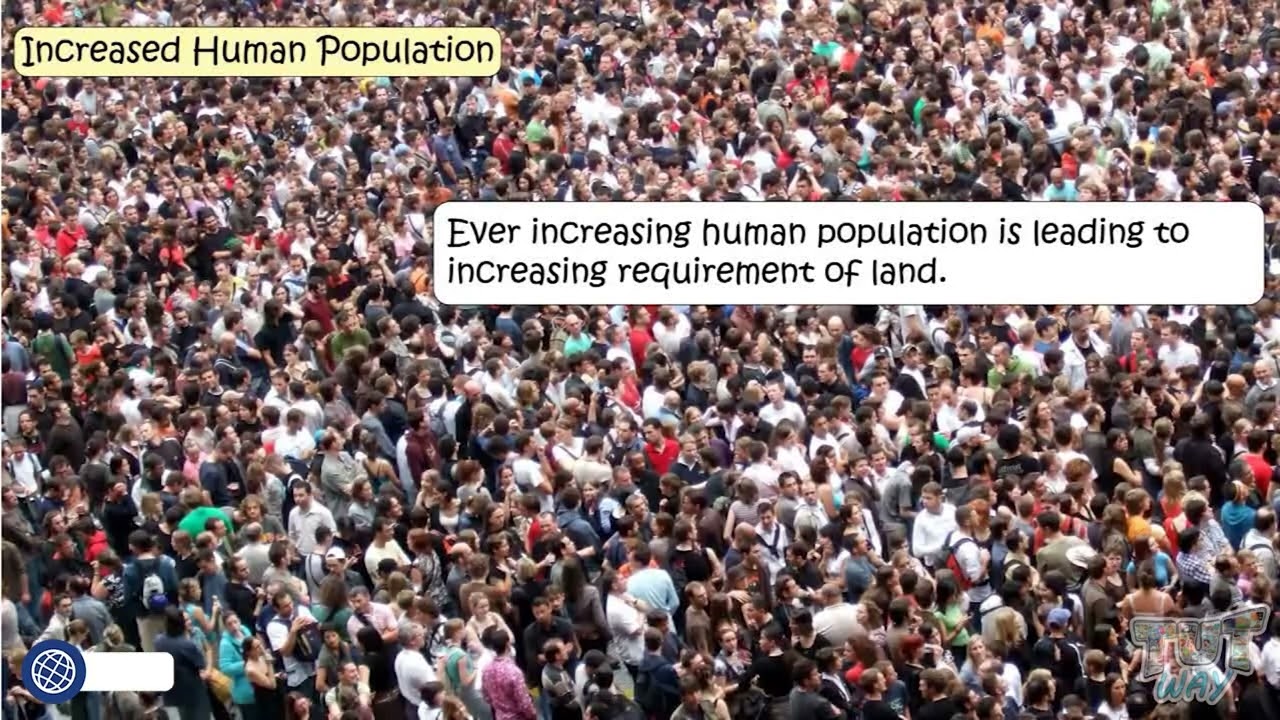 Habitat Destruction Human Impacts on Biodiversity