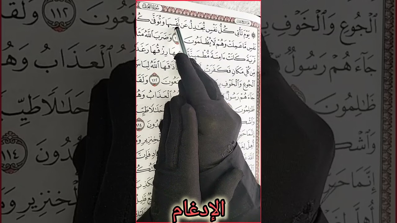 الإدغام وحروفه ( ي-ن-م-و-ل-ر) #أنوار التجويد 🕊️🌿