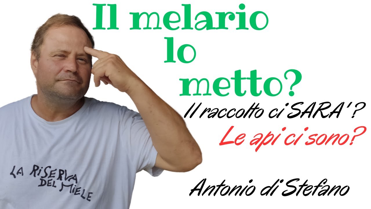 Apicoltura Facile il Melario lo posso mettere?cosa devo vedere? Perché lo devi fare?Miele ci SARA?