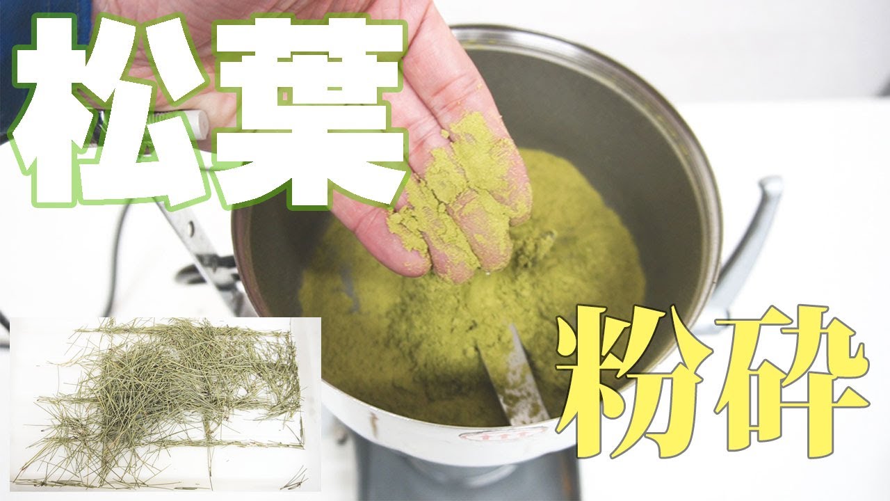 【葉をパウダーに】松葉を粉砕（ハイスピードミル）