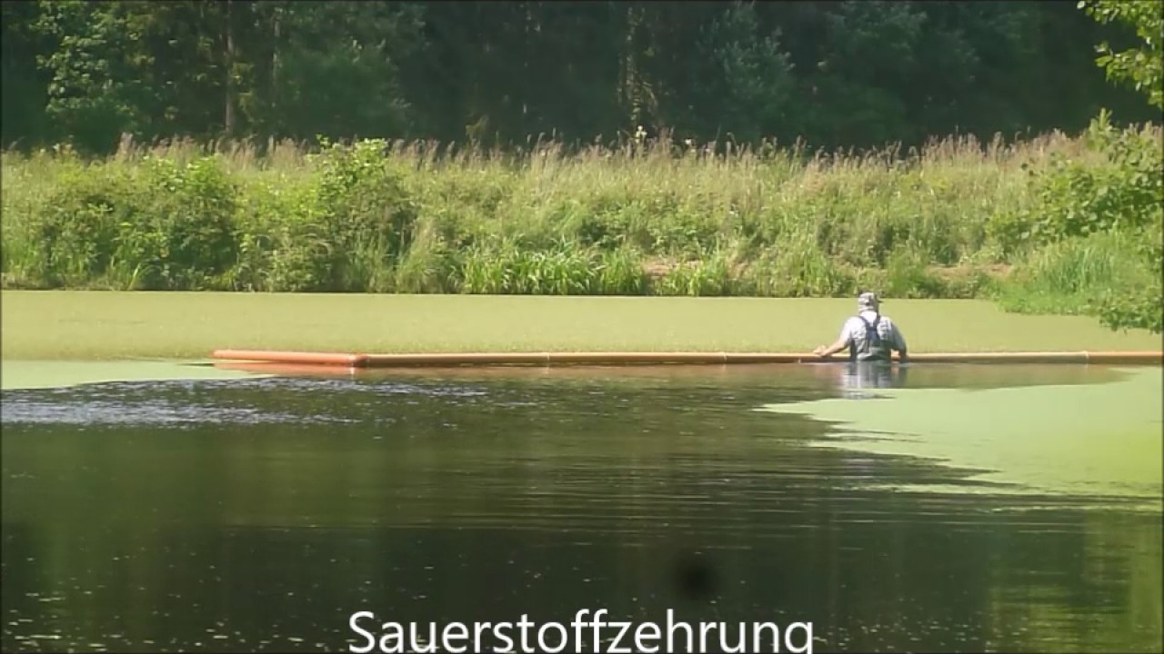 Wasserlinsenbek&auml;mpfung und warum die so negativ sind f&uuml;r ein Teich
