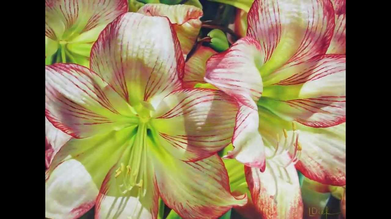 Flower world by artist Lyn Diefenbach