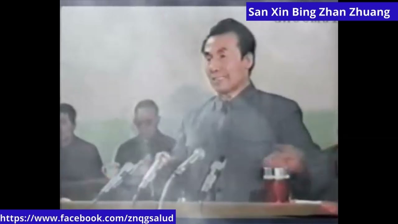Zhan Zhuang 10 - Dr Pang Ming Zhineng Qigong