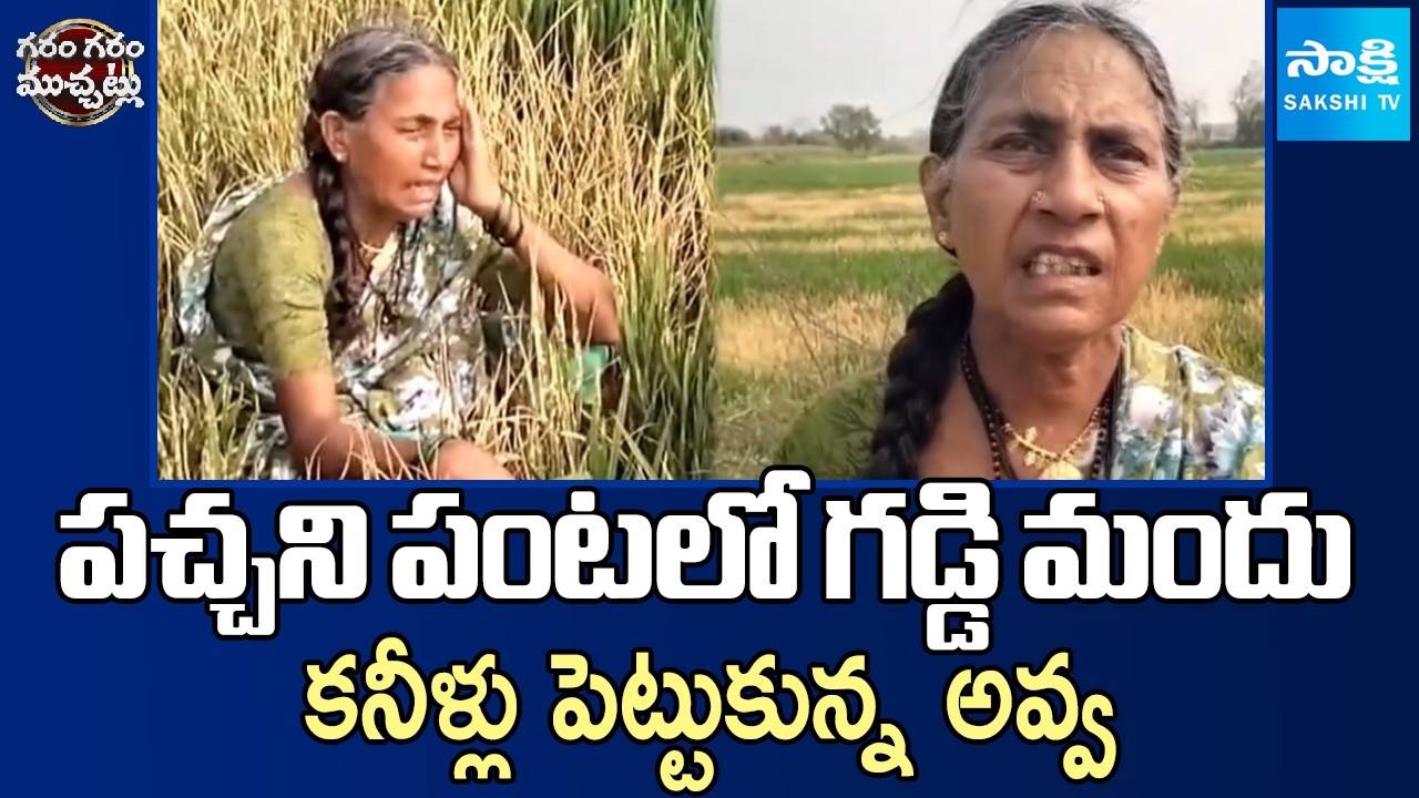 కన్నీళ్లు పెట్టుకున్న అవ్వ | Crop Destroyed in Mahabubabad | Garam Garam Varthalu | Sakshi TV