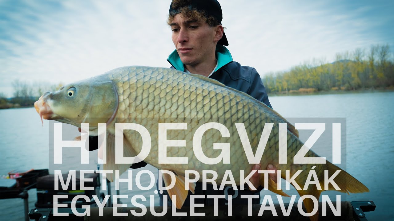 Hideg vízi method praktikák egyesületi tavon - Gyöngyöstarjáni horgásztó