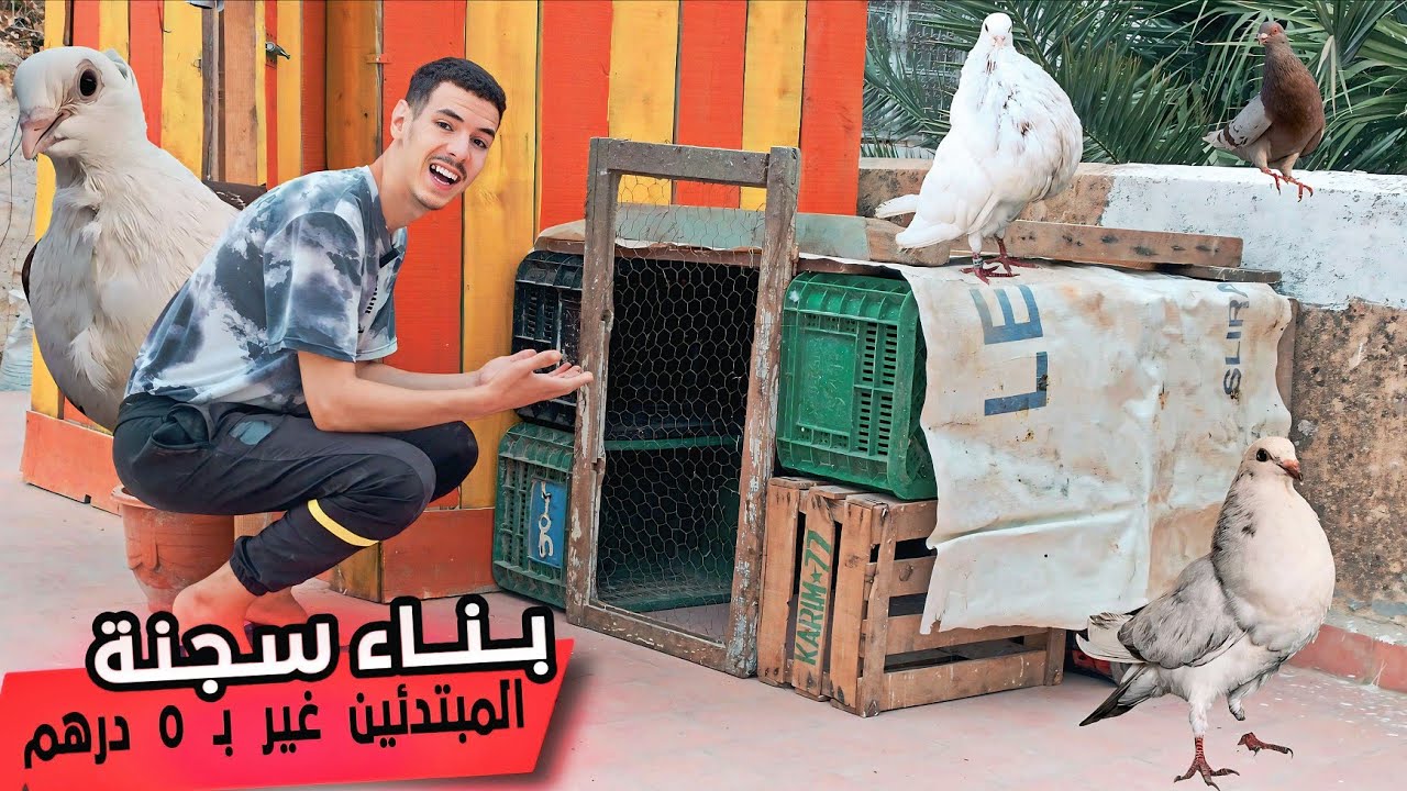 ها كيفاش بنينة سجنة الحمام ديال المبتدئين غير بــ 0 درهم ...