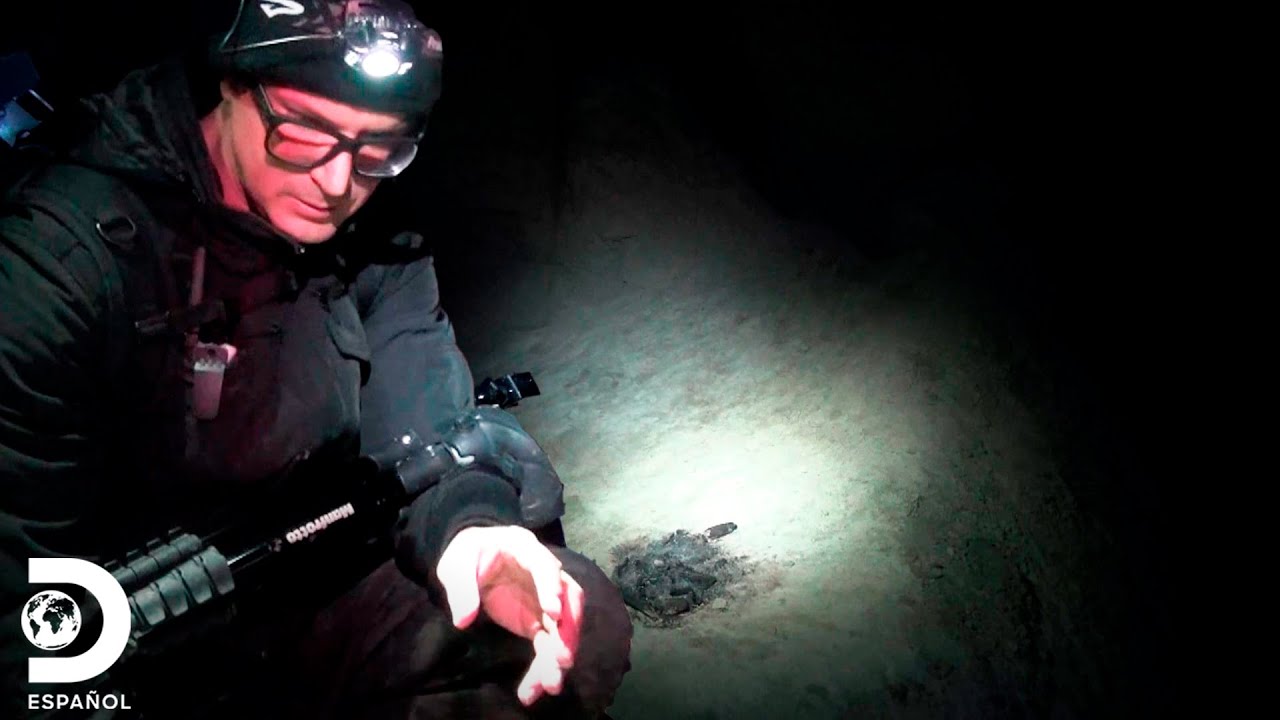 Un viaje dentro de la cueva de la bruja navajo | Historias de Fantasmas | Discovery en Español