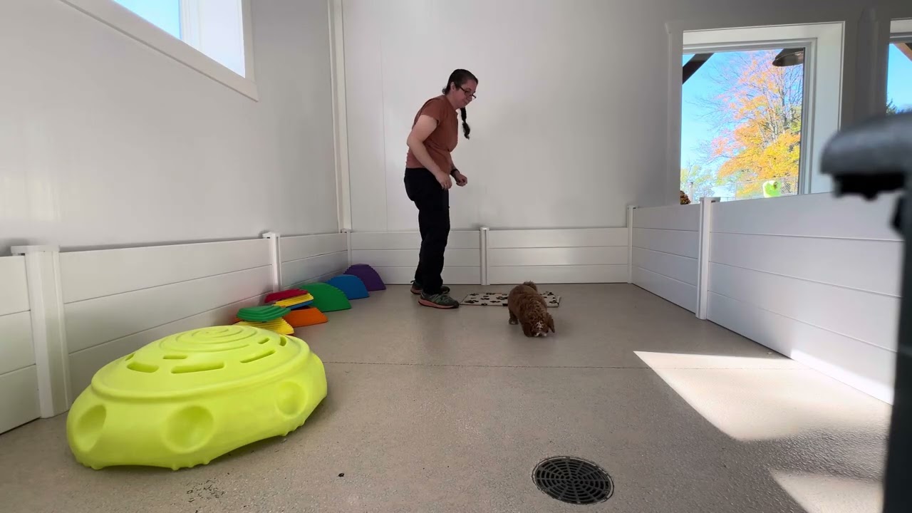 Conrad Training Session 10/27