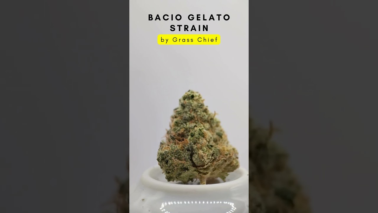 Relieve Pain with Bacio Gelato by Grass Chief