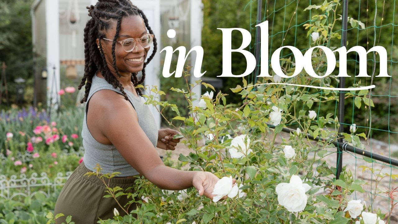 The Roses are Putting on A Show!! | 7 Must-See Blooms from Heirloom Roses
