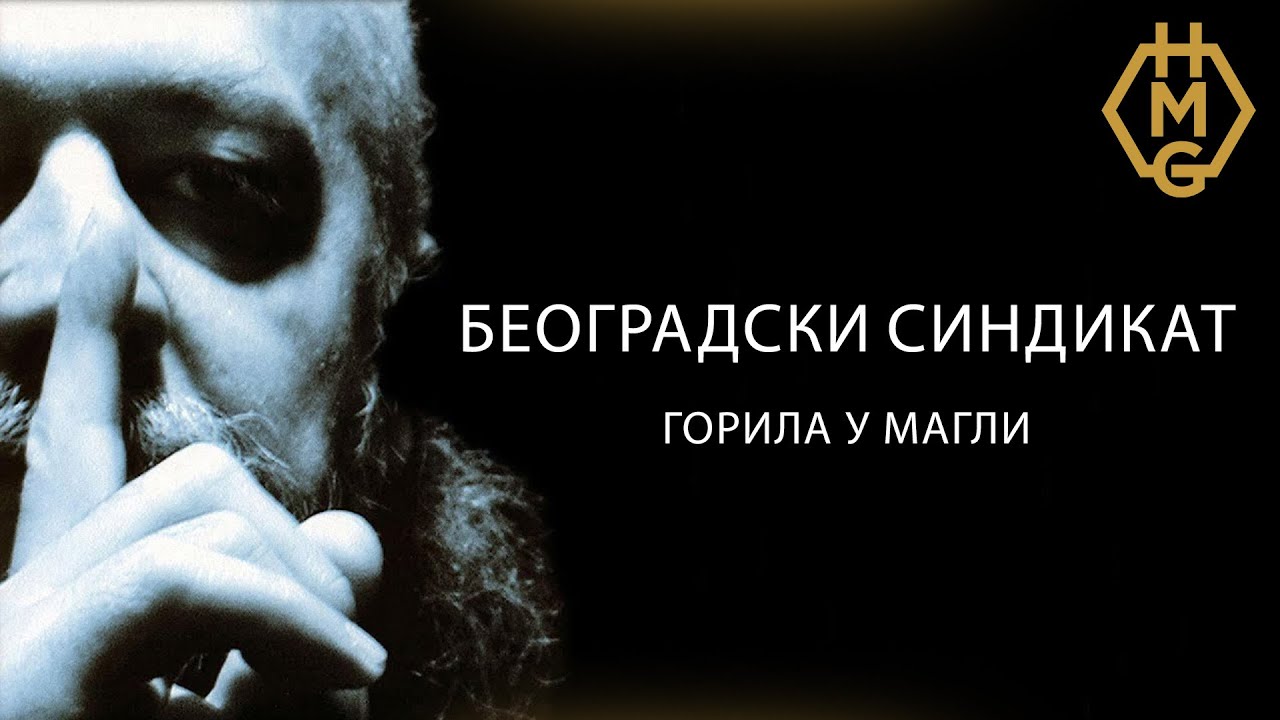 Beogradski Sindikat - Gorila u magli [Official Visualizer]