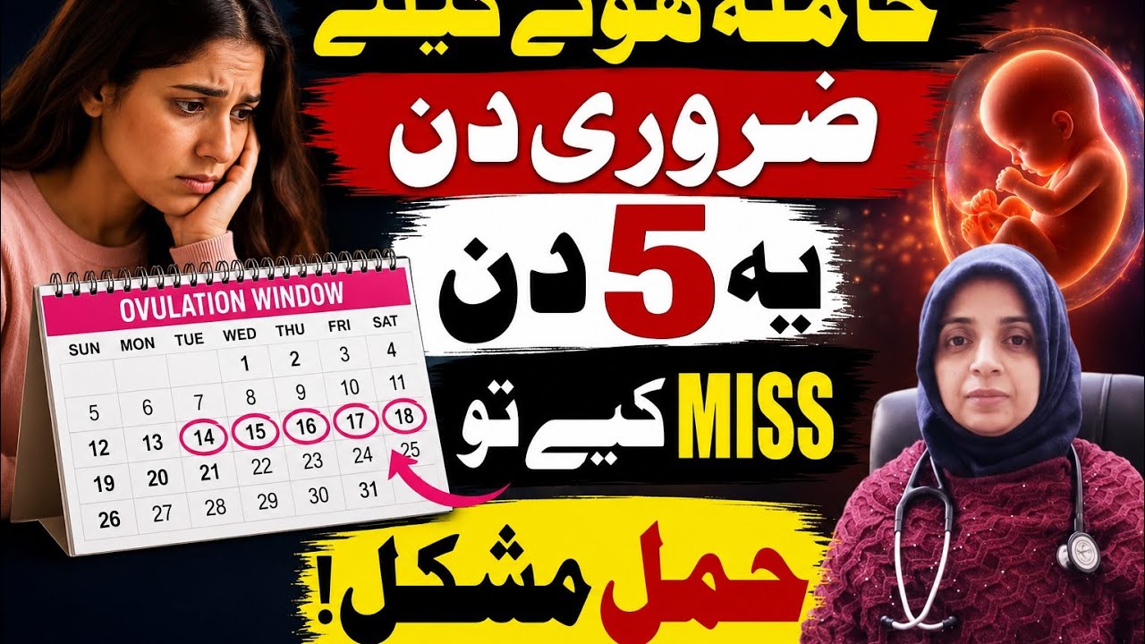 Best Days to Get Pregnant Fast | Fertile Period | Ovulation Days & Symptoms