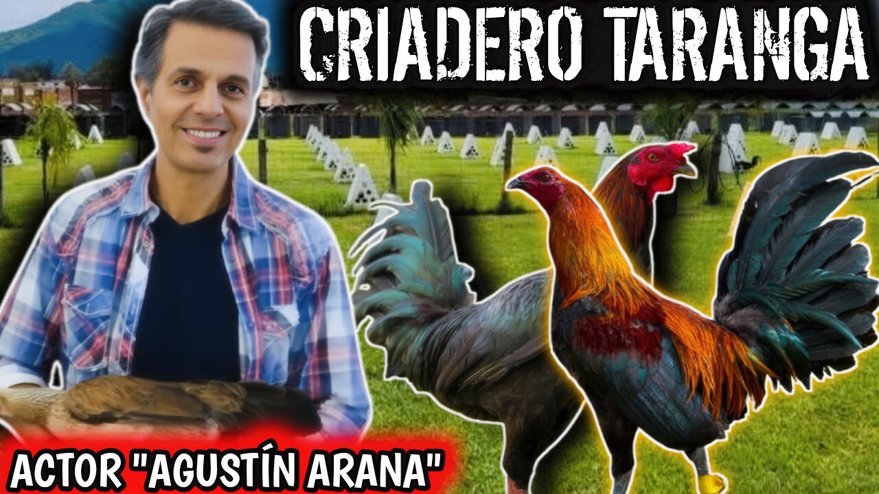 Actor Agustín Arana 