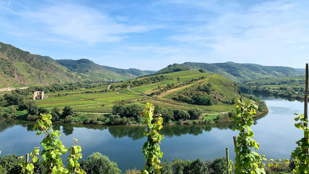 Underbar utsikt över Mosel vid Bremm och vi provar vin och visar ställplatsen i Ediger-Eller!