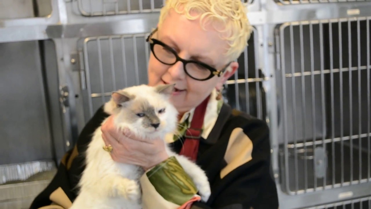 Shelter Hero: The Anti-Cruelty Society's Davorka Brozovich