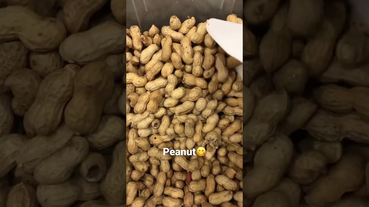#peanut #peanuts #asmrsounds #asmr #sounds .