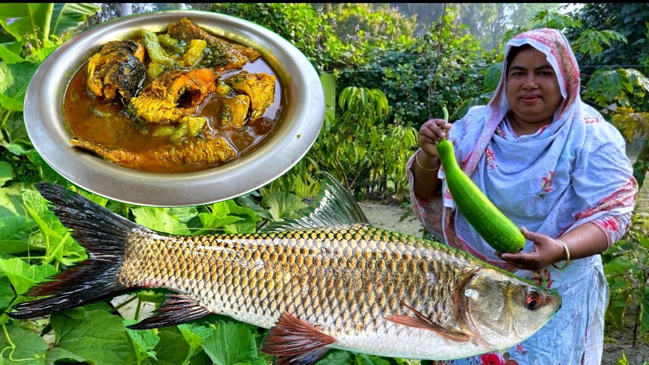 দেশি রুই মাছ বাড়ি থেকে লাউ তুলে রান্না | Rui Fish with Bottle Gourd | মাসিকারা কিচেন