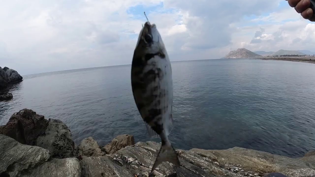 Harika Bir Merada Sokar Avı Yaptım / Göl Kamışıyla Çırpan Sokan Sokar Avı