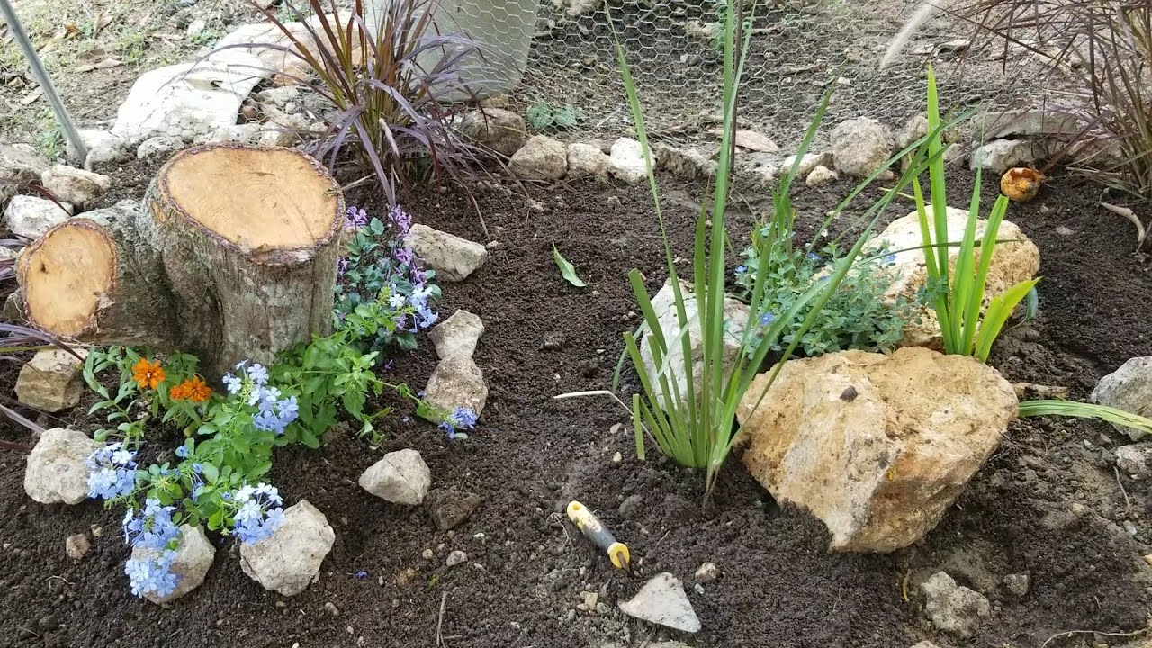 COMO DECORAR UN JARDIN CON TRONCOS, PIEDRAS Y PLANTAS ORNAMENTALES.