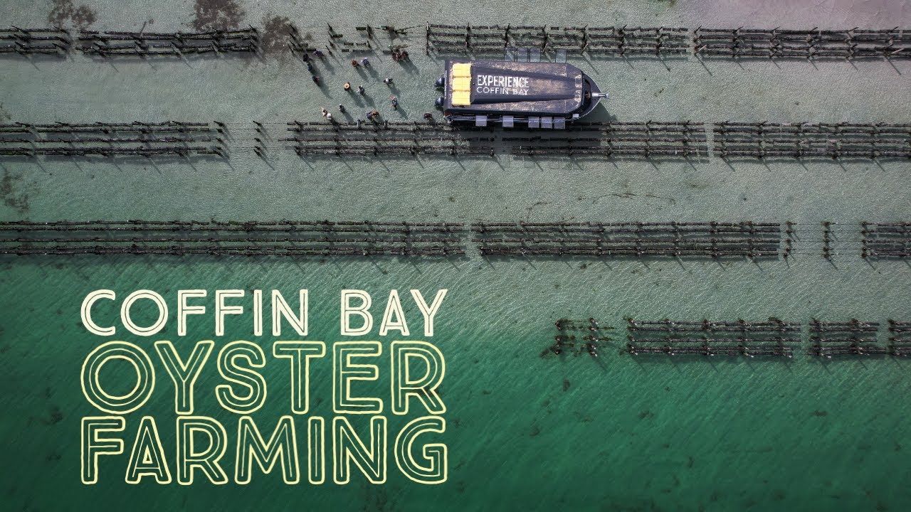 Oyster Farm Tour with Experience Coffin Bay - The BEST oysters we've ever tried! - 128