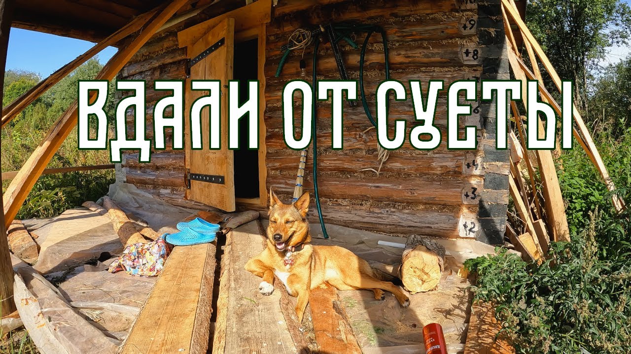 Вдали от суеты||Дикие соседи||Что мы готовим на природе #2