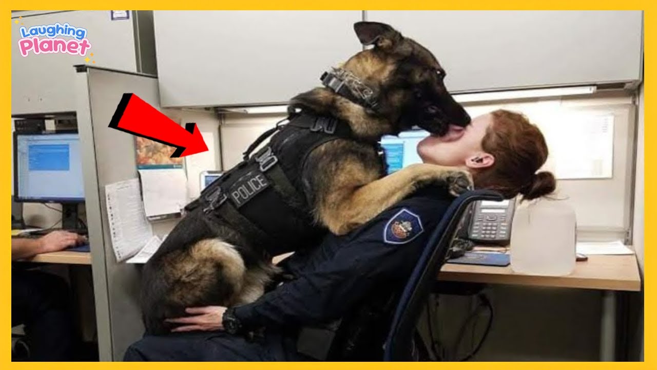 🐕👮‍♂️When Police Dogs Forget Their Job 😁Funny Comedian Dog Videos 2025