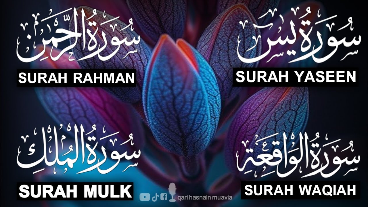 Surah Yasin ❤️ Surah Rahman , Surah Waqiah , Surah Mulk | Ep 383,یس