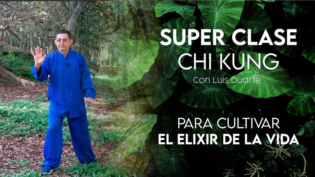 Super clase de CHI KUNG  para el cultivo del ELIXIR DE  LA VIDA - (Chi)