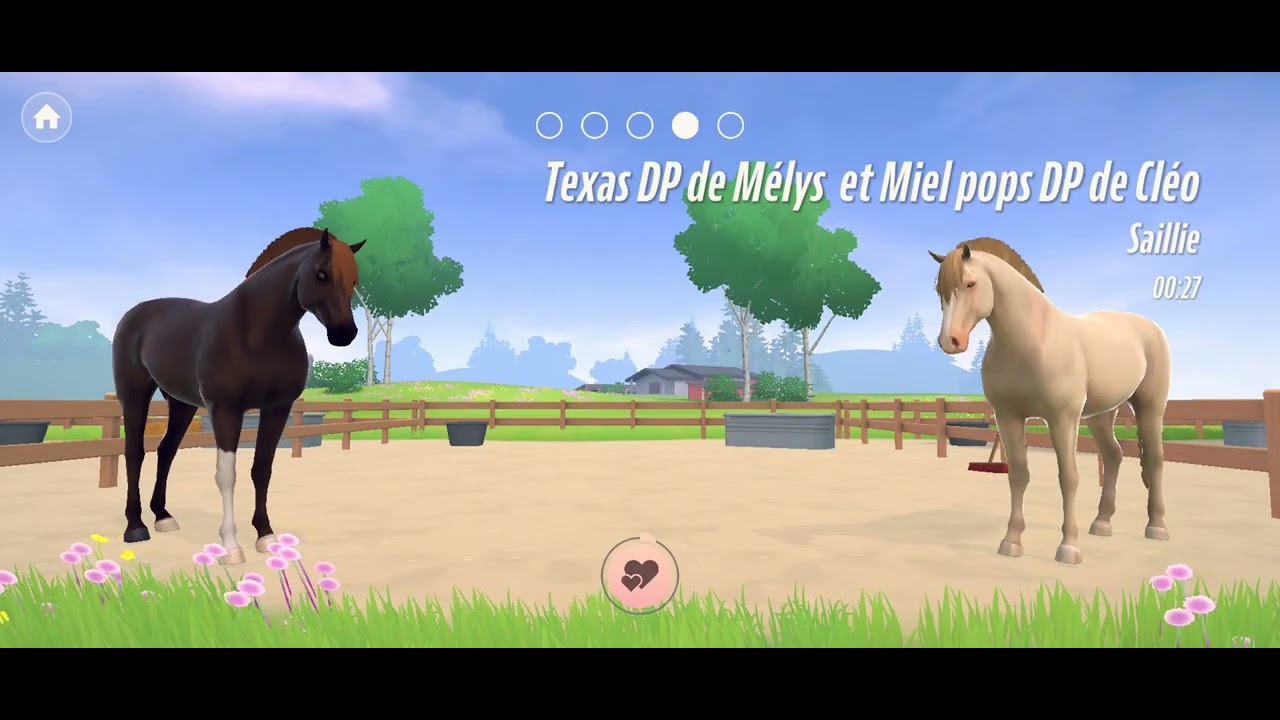 Prochainement une vidéo reproduction est un cours avec caramel du Golden-élevage
