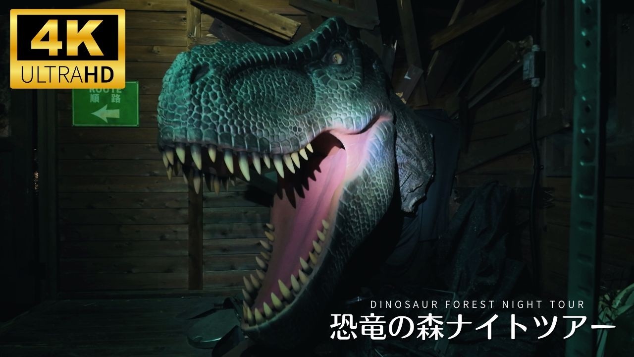 Jurassic World After Dark: Walking the Real Dinosaur Forest at Night in Fukui #恐竜の森ナイトツア