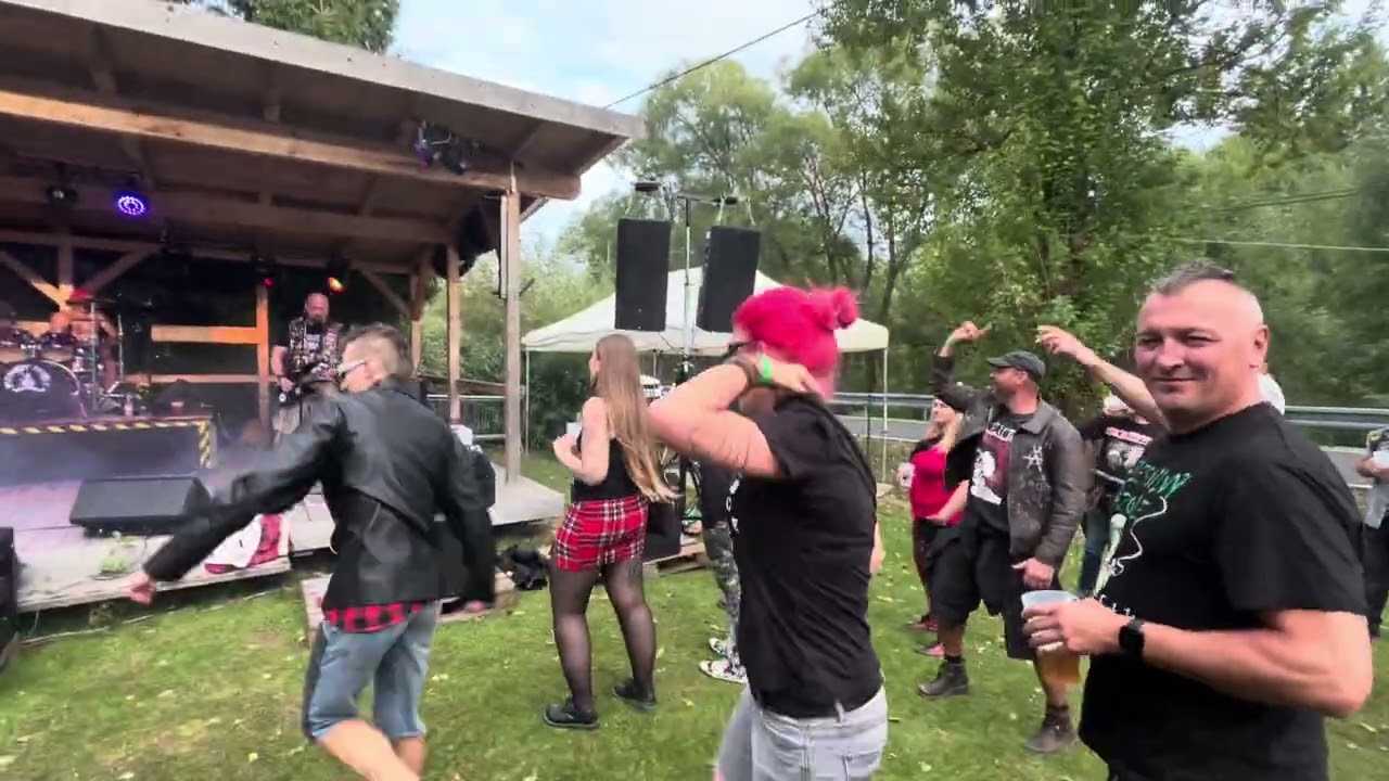 PUNKOVÝ LESÍK - SAS - ROCKNROLL RADIO