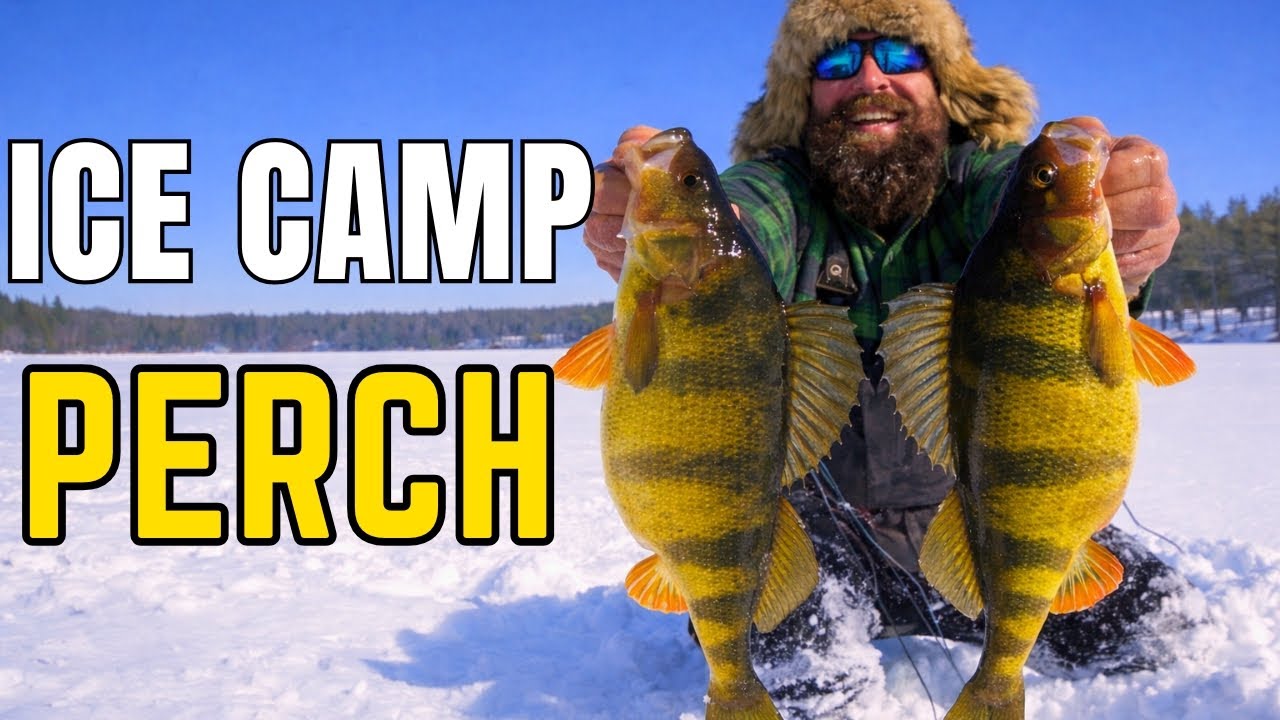 -20&deg; Ice Camping Paid Off (Giant Perch & Surprise Crappie