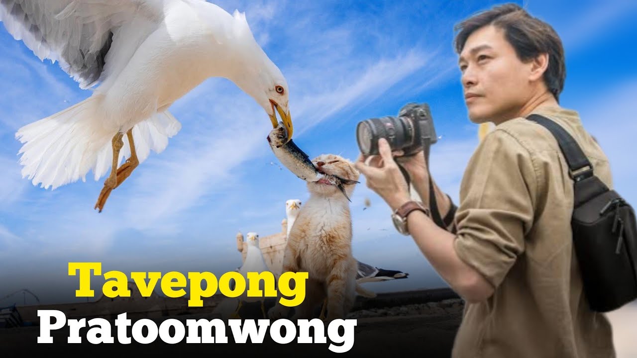 Tavepong Pratoomwong: Documenting Life Through the Lens