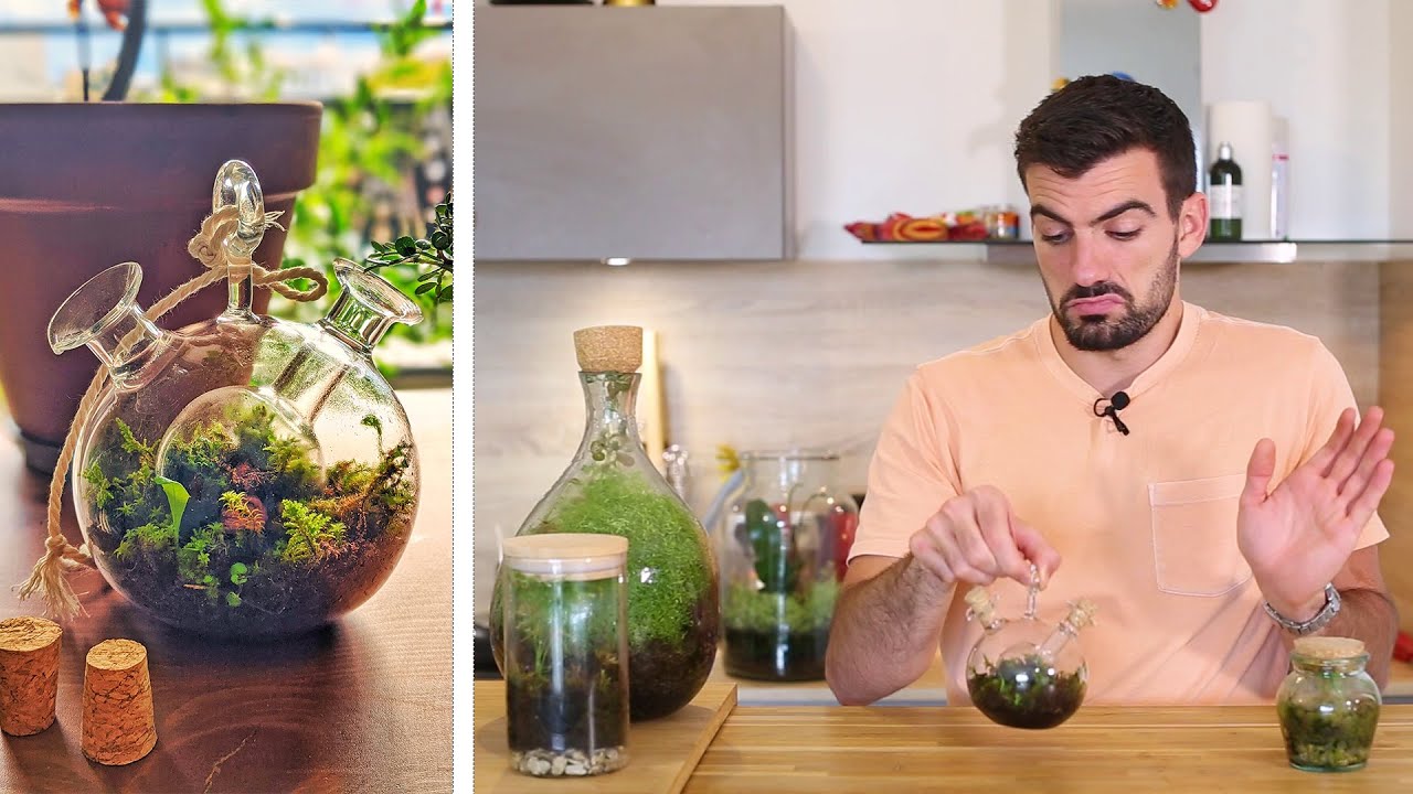 Un terrarium dans un terrarium suspendu !